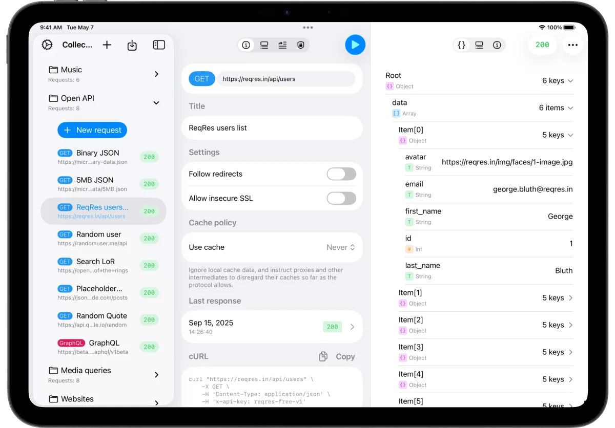 API Orbit running on iPad, showing an organized API request interface with JSON response — demonstrating the app’s native Apple design and smooth performance.