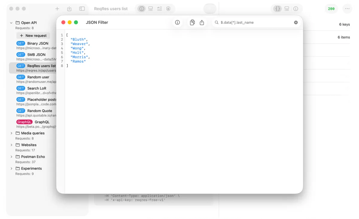 JSONPath filter applied in API Orbit on Mac