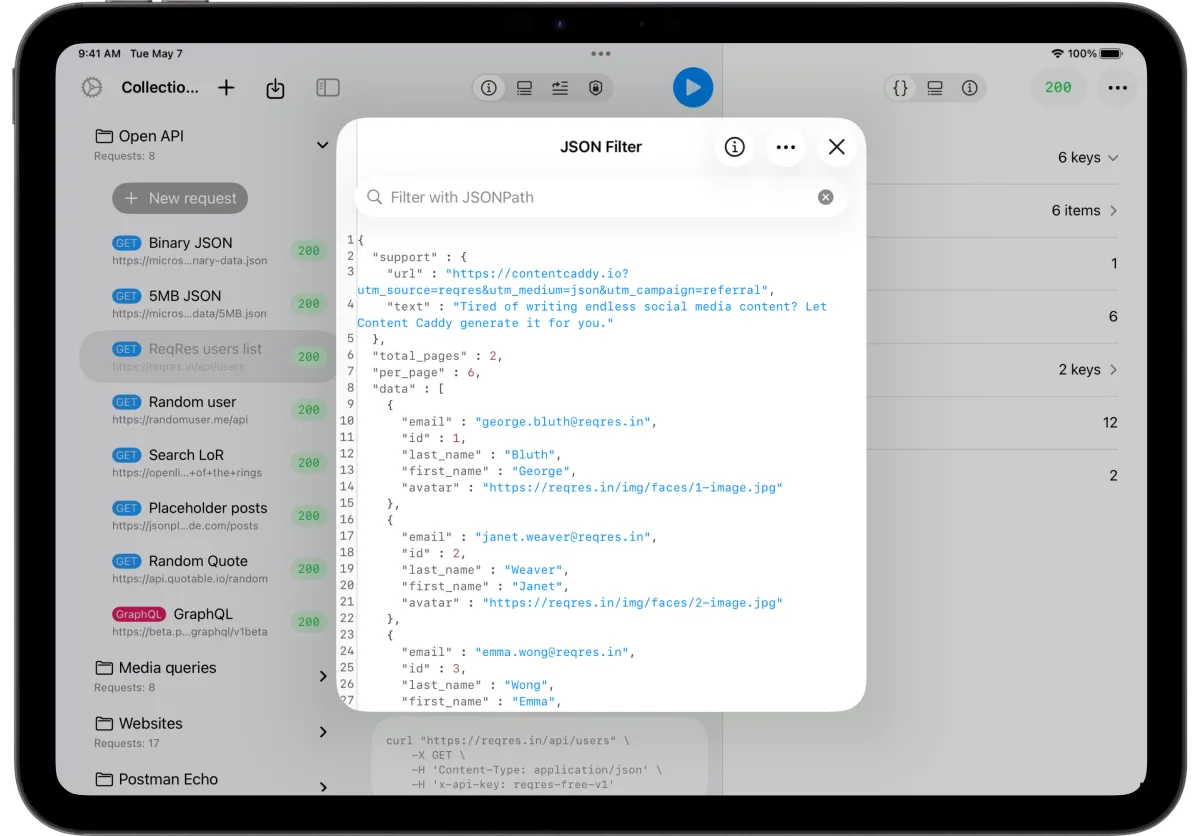 Large unfiltered JSON response displayed in API Orbit
