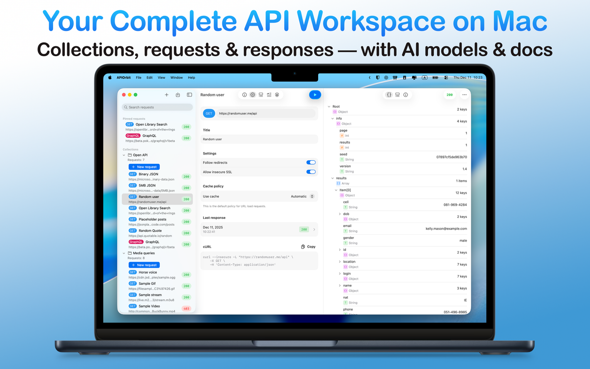 The complete API workspace of the app on a MacBook, displaying collections, requests, and responses with integrated AI models and documentation.