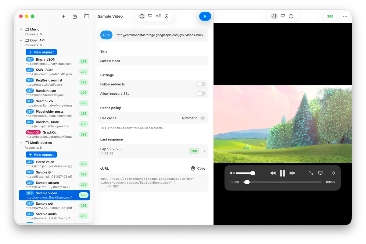 API Orbit 26 response viewer displaying a video playback inside the app