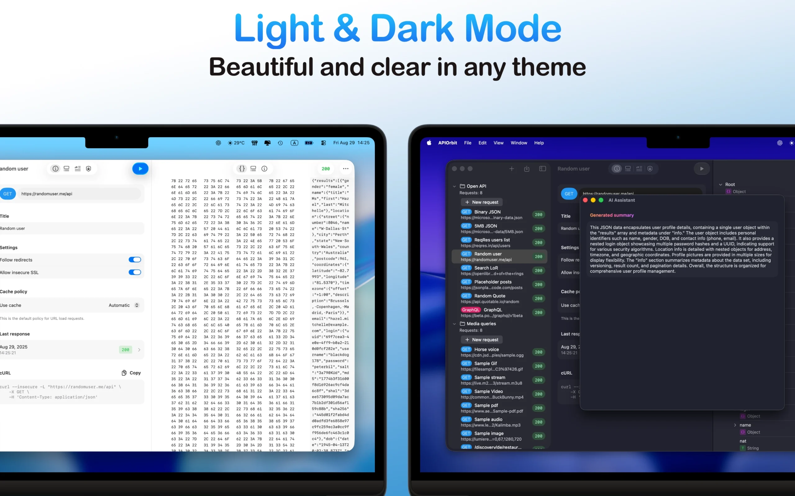 Two MacBook screens side-by-side, showcasing the API client app in both light and dark modes.
