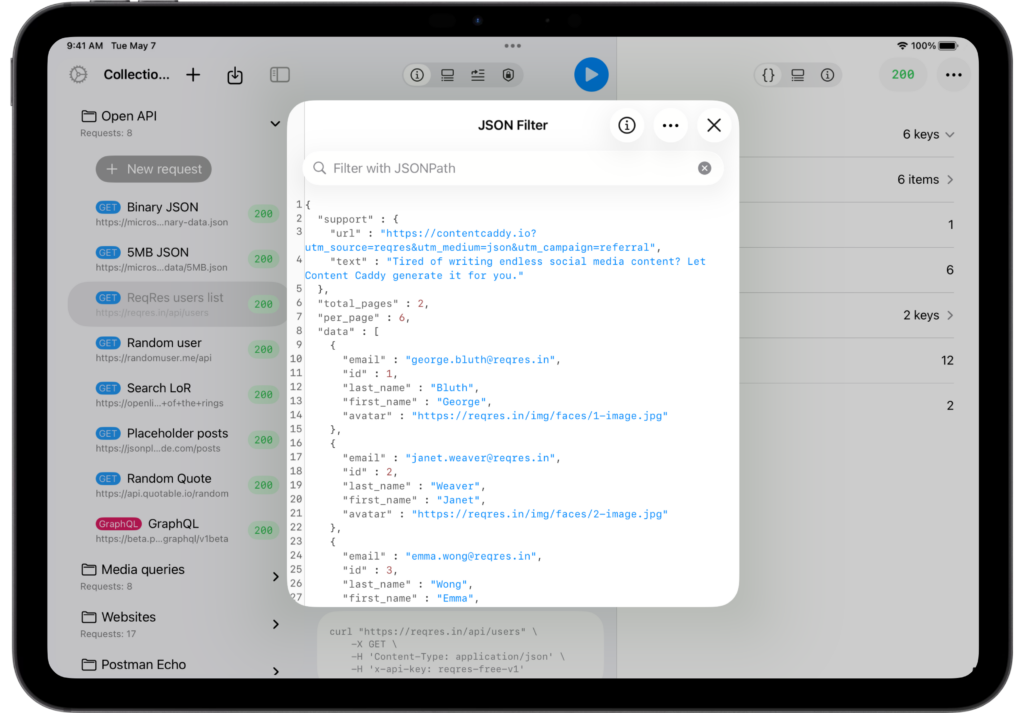 Large unfiltered JSON response displayed in API Orbit