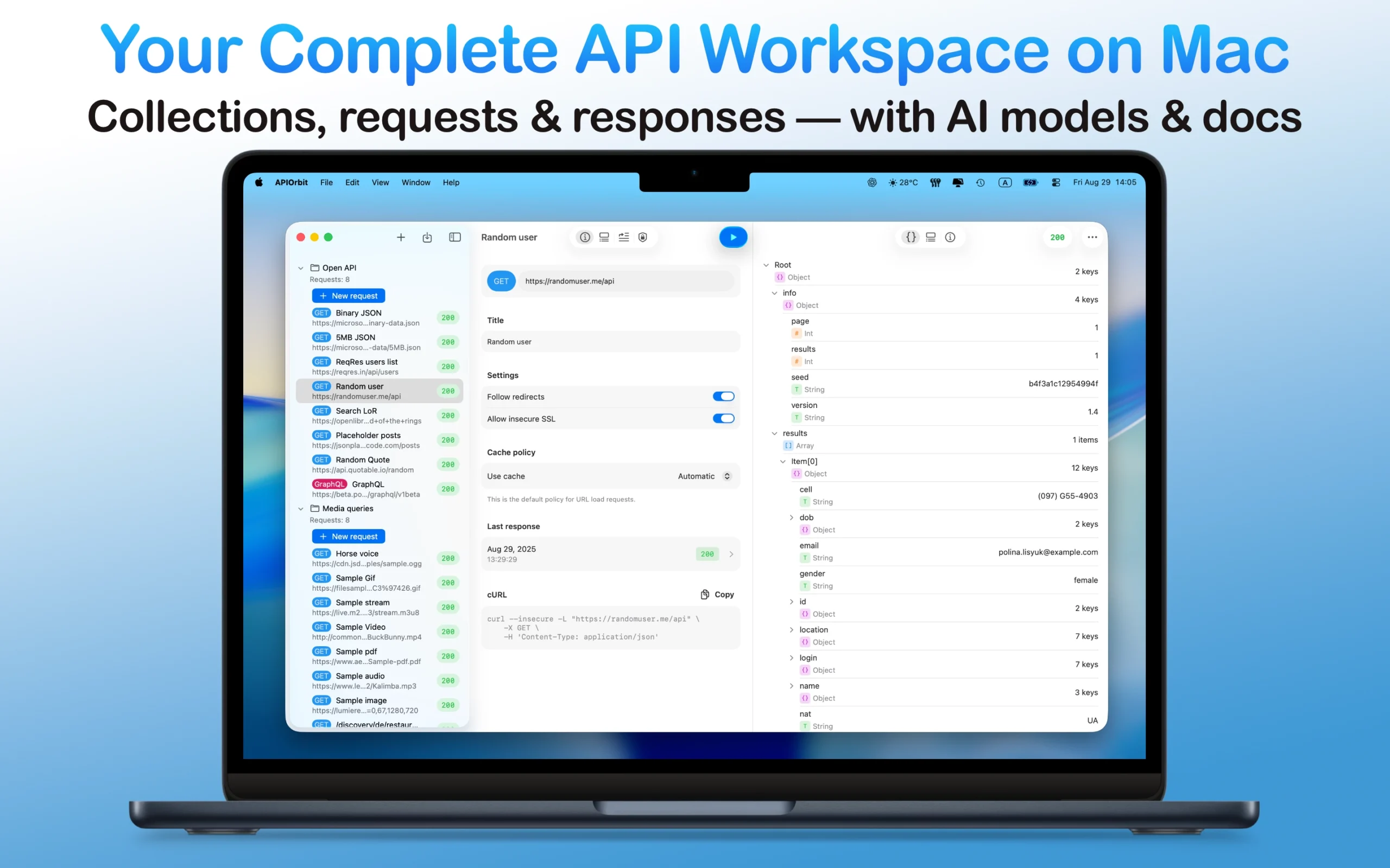 The complete API workspace of the app on a MacBook, displaying collections, requests, and responses with integrated AI models and documentation.
