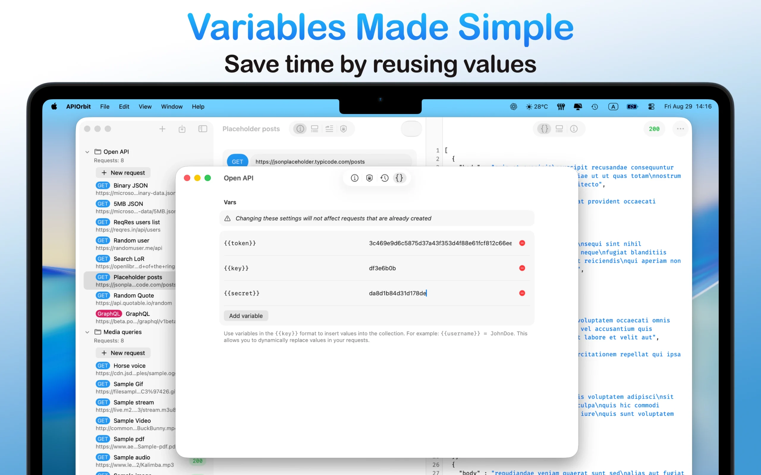 The variables management interface in the API client app on a MacBook, simplifying the reuse of values like tokens and keys across requests.