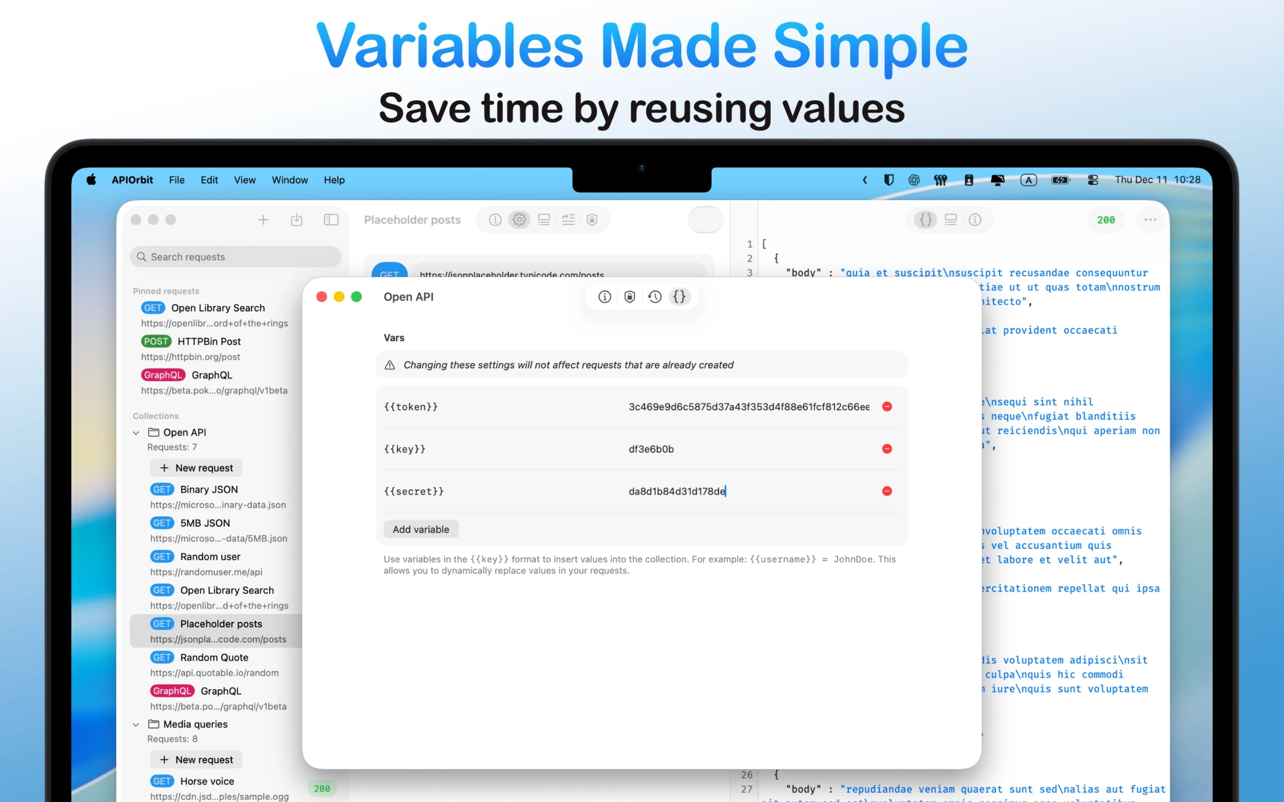 The variables management interface in the API client app on a MacBook, simplifying the reuse of values like tokens and keys across requests.